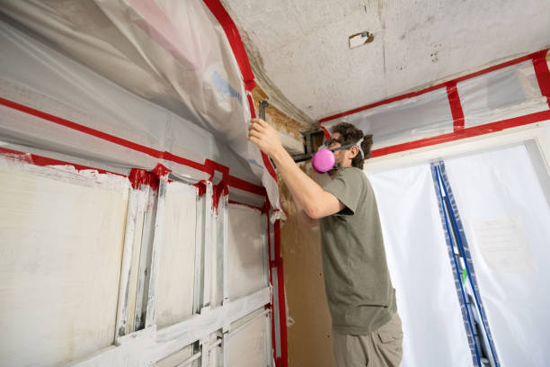 Best Water Damage & Mold Remediation  in Tilton Northfield, NH