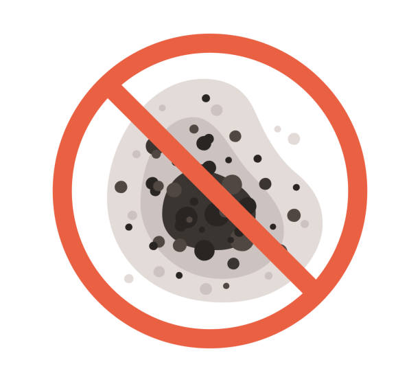 Best Mold Damage Restoration  in Tilton Northfield, NH