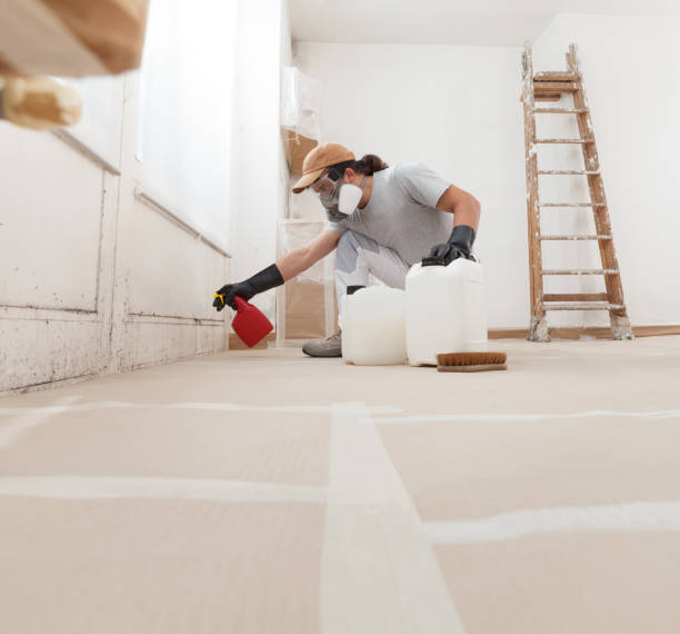 Best HVAC Mold Inspection and Cleaning  in Tilton Northfield, NH